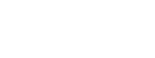 Bray Logo